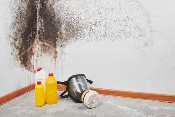 Best Mold Cleaning Services  in Barron, WI