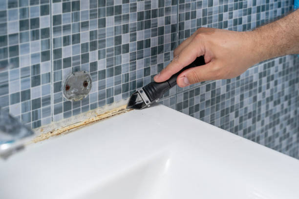 Best Professional Mold Removal  in Barron, WI