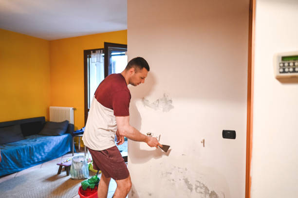 Best Home Mold Removal  in Barron, WI